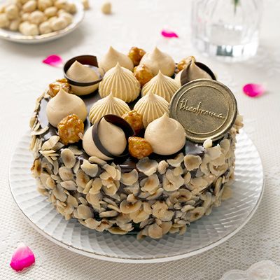 Dark Chocolate Mousse & Hazelnut Praline Cake [600