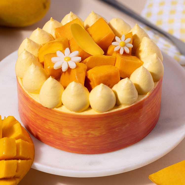 Fresh Alphonso Mango Cream Cake [540g]