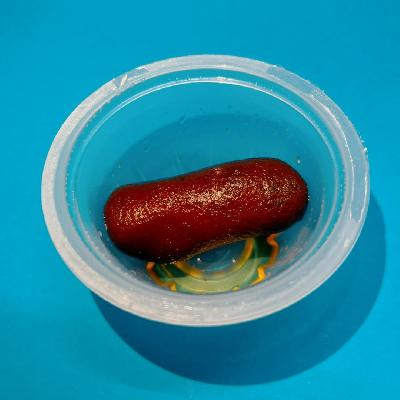 Kala Jamun Sugarfree (1 Piece)